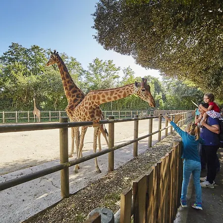 Vue Mer, Joli Pour 4 A 40m De La *