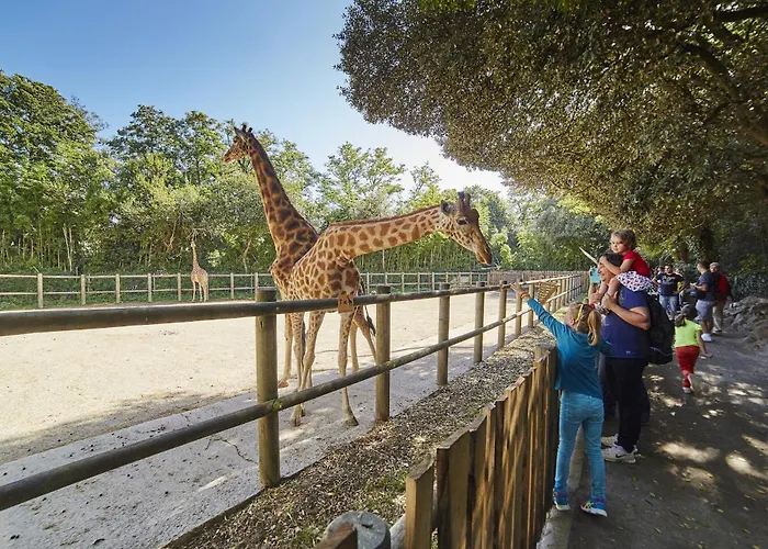 Vue Mer, Joli Pour 4 à 40m De La *